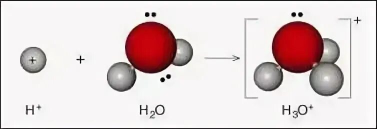H 3 o