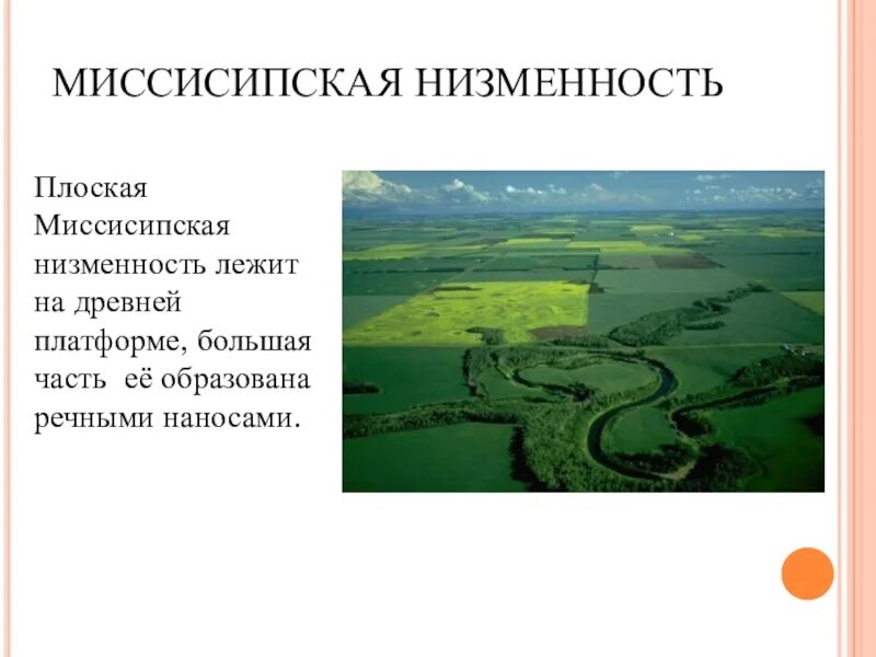 Низменность абсолютная высота. Какая низменность земли. Горы равнины плато низменности. Описание амазонской низменности. Горы равнины возвышенности низменности.