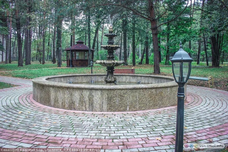 профилакторий ржд смоленск