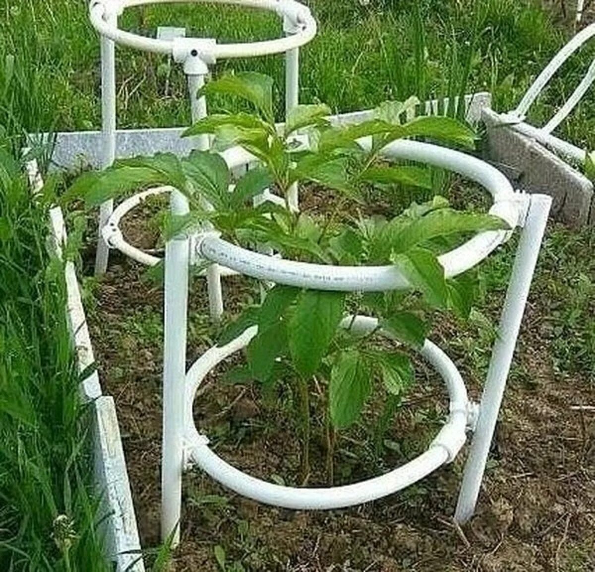 Пластиковые трубы сад