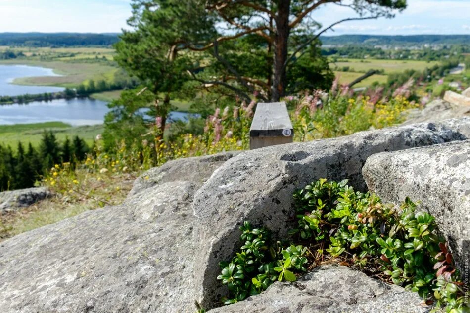 Ели сортавала. Городище Паасо Карелия. Гора Паасо Сортавала. Сортавала гора Паасо Сортавала. Городище Паасо в Сортавале.