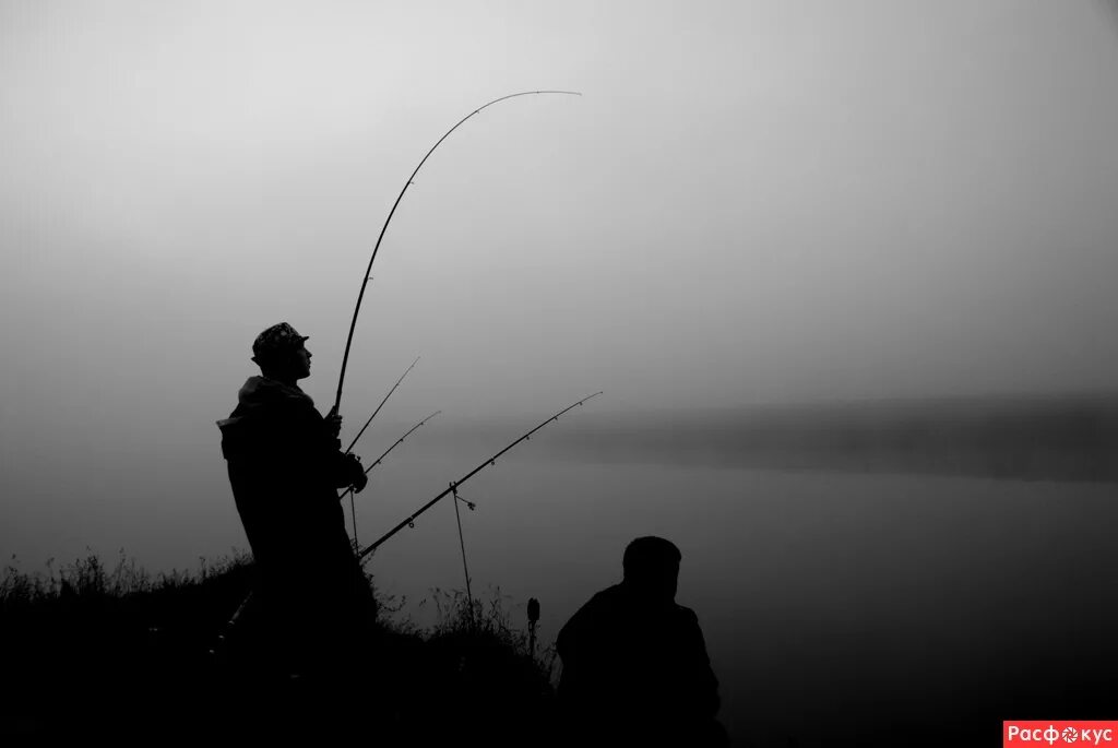 Рыбаки. Человек сидит с удочкой. Мимо рыбака сидящего. Мимо рыбака сидящего. Рыбак с удочкой.