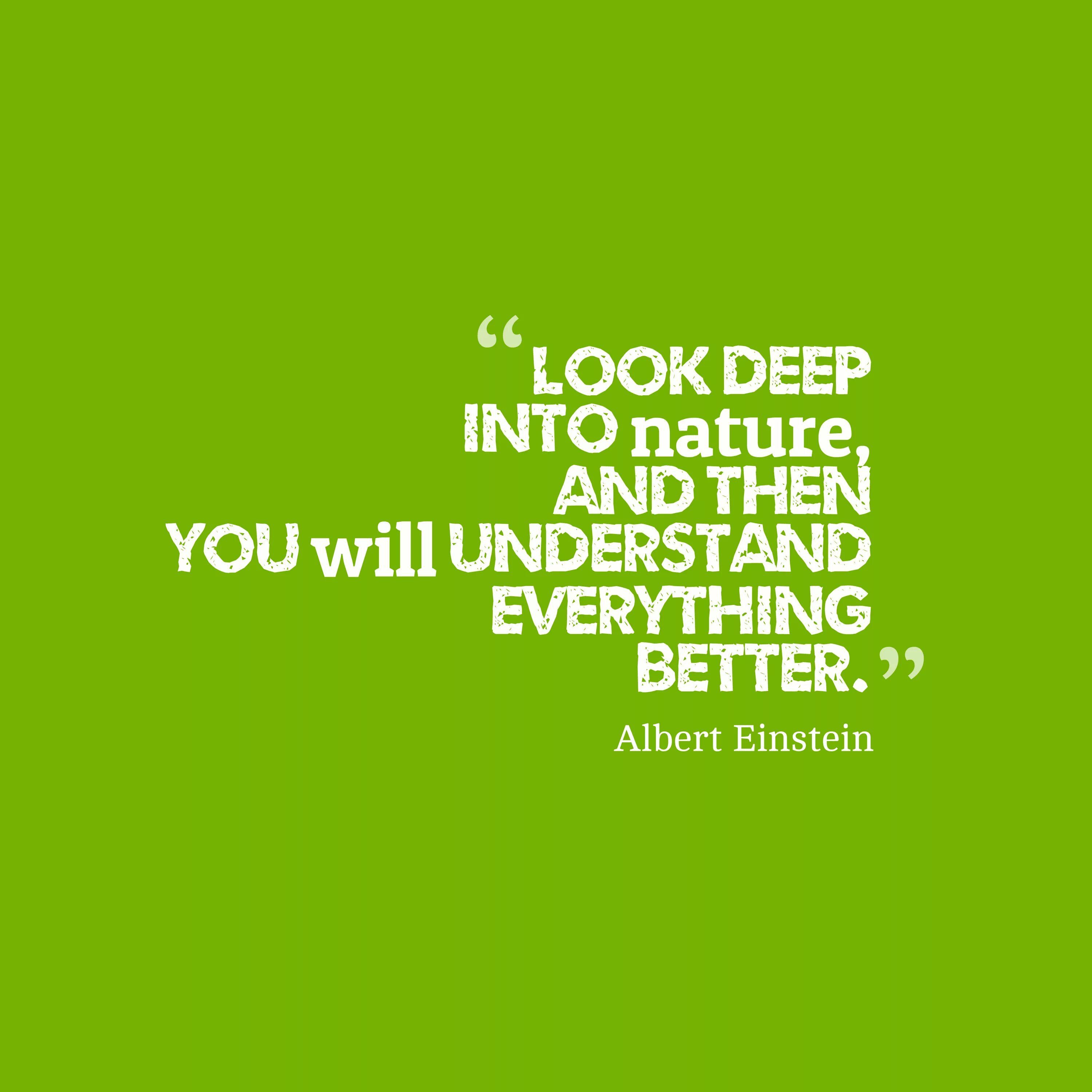 Take deep look. Look deep into nature, and then you will understand everything better.. look deep into the nature and you will understand everything better. look deep into the nature. look deeper.