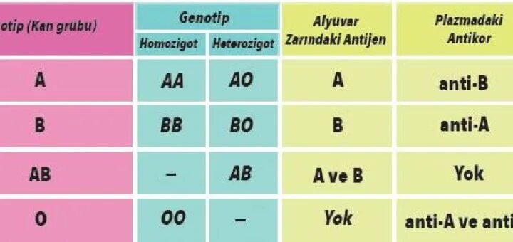 Генотип 5. Ab ab генотип. генотип фото. 1 группа генотип. генотип 1 нулевой группы.