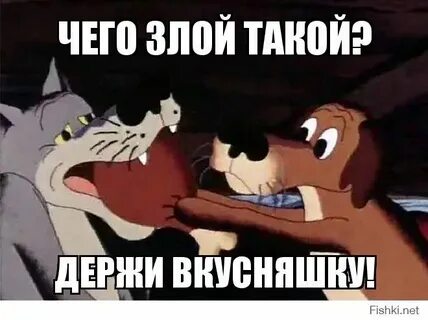 Я не понимаю зачем ты так сердито