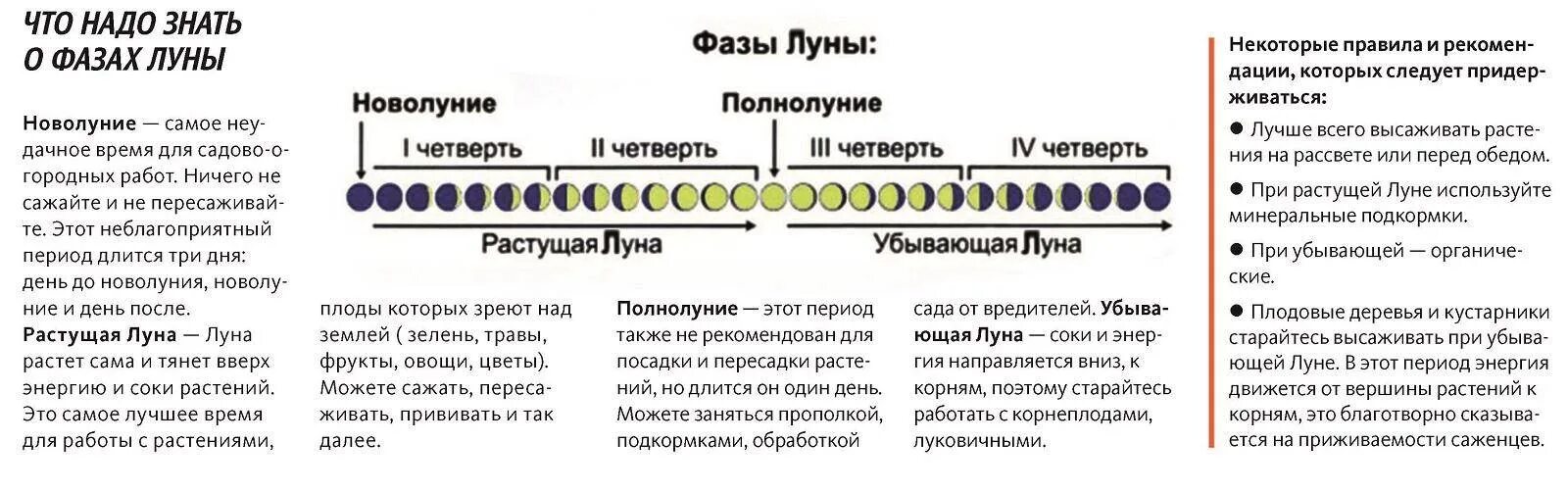 На убывающей луне нужно. Фазы Луны. Фаза растущей Луны. Фазы Луны схема. Фазы Луны фазы Луны.