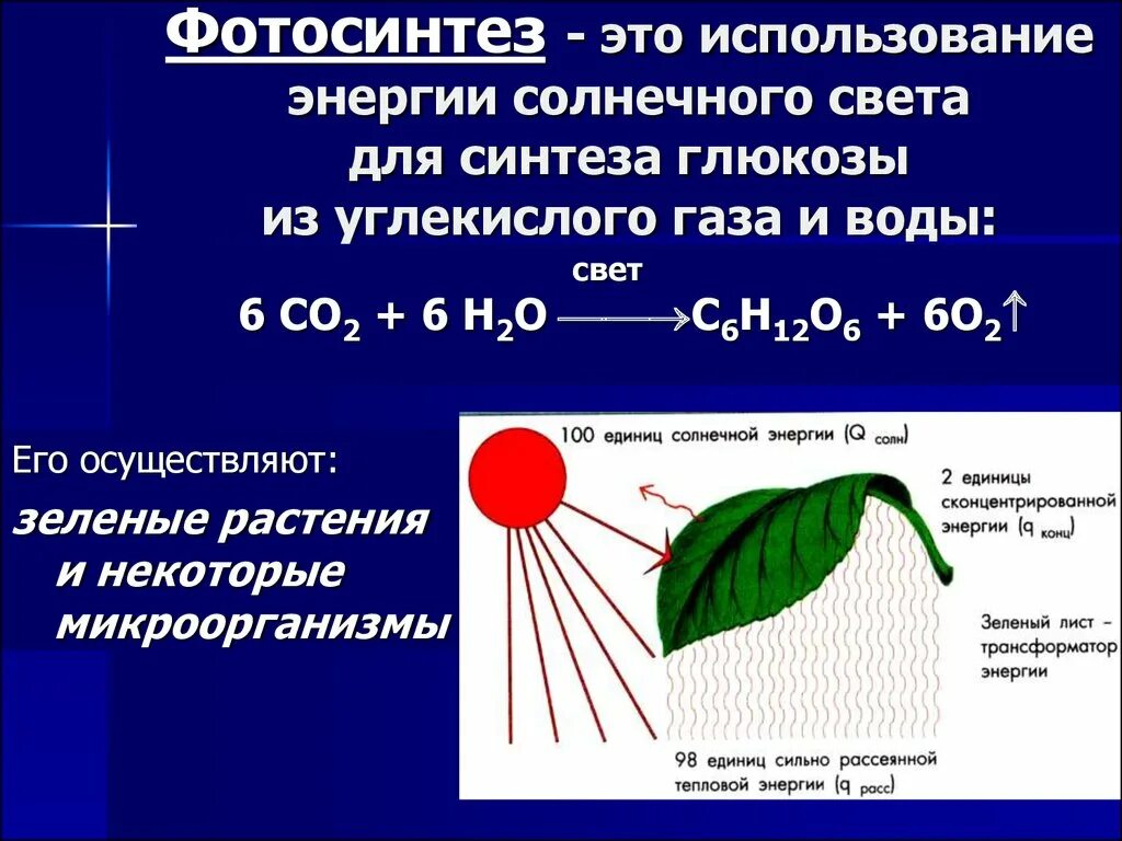 В результате фотосинтеза кислород. Со2 фотосинтез. Процесс фотосинтеза у растений. Со2 фотосинтез реакция. 2. Основной продукт фотосинтеза.