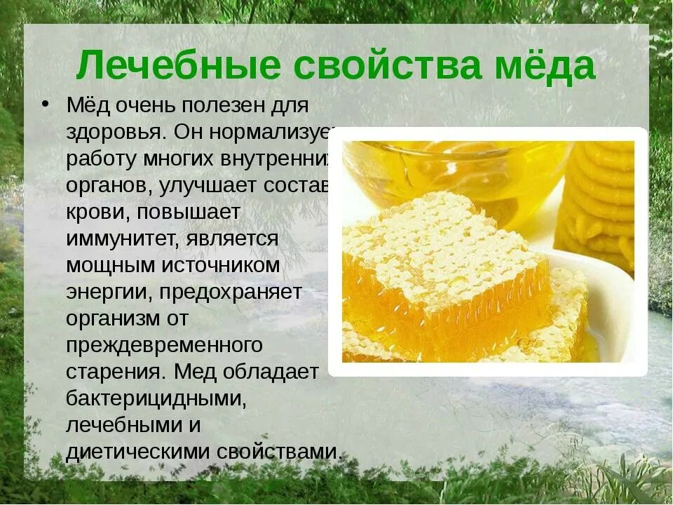 Чем полезен мед. Полезные свойства меда. Полдезные качества мёда. Польза меда. Какими полезными свойствами обладают