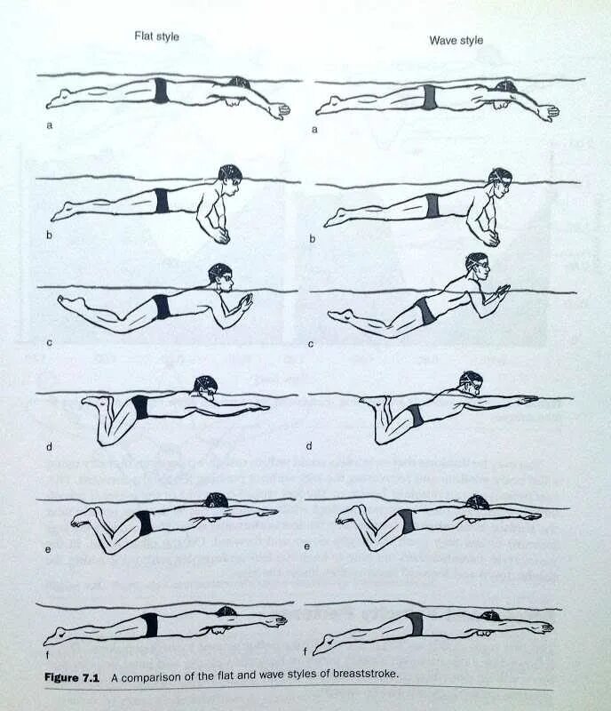 Обучение плаванию начинающих. Техника плавания брассом. Стиль плавания брасс техника. Плавание брасс Кроль Баттерфляй. Стиль плавания Кроль брасс.