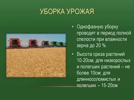 Способ уборки
