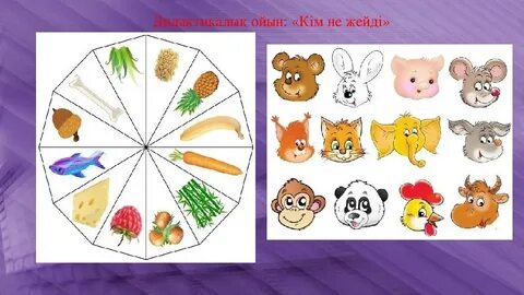 ВК-да пискалардың жақыннан түсірілген суреттері