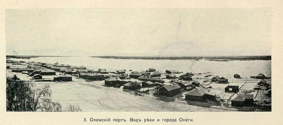 Численность онеги