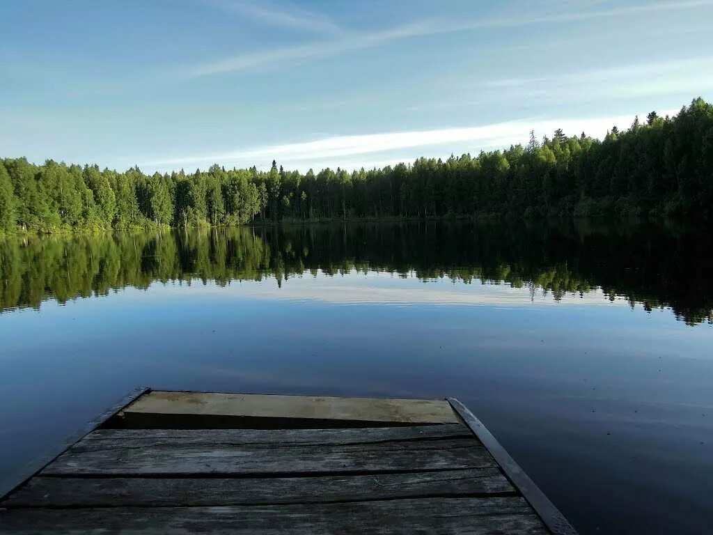 Озеро является источником. Озеро шайтан Уржумский район. Озеро шайтан Кировской. Плавучие острова озеро шайтан. Озеро шайтан дрейфующие острова.