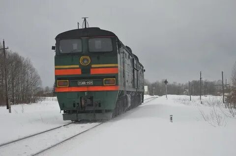 Киров мураши