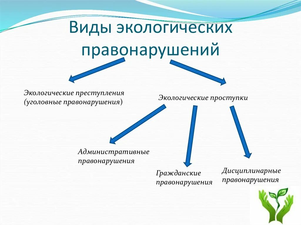 На что делятся экологические правонарушения. Виды экологических правонарушений. Понятие и виды экологических правонарушений. Экологическое право виды.