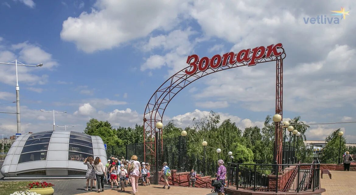 Зоопарк чижовка. Минский зоопарк, Беларусь, Минск. Зоопарк мрнск. Зоопарк в городе Минск.