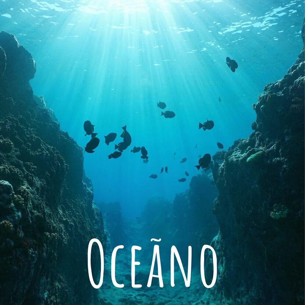 The smallest ocean