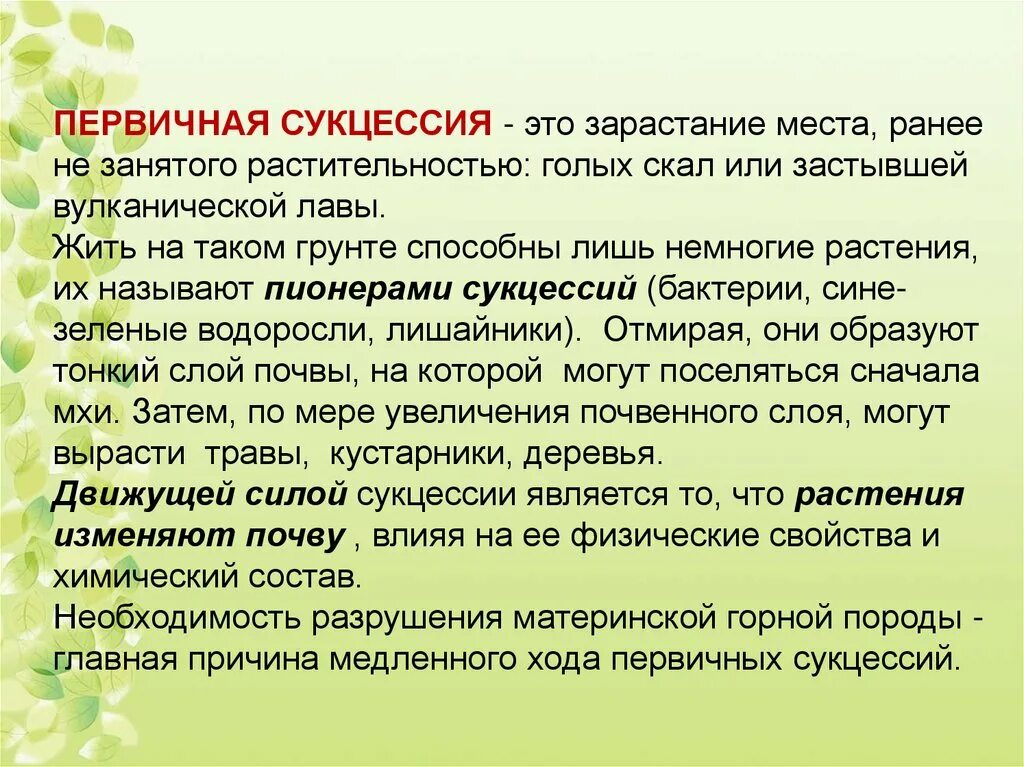 Первичная сукцессия. Сукцессия первичная сукцессия. Первичная и вторичная сукцессия. Возникновение первичной сукцессии.