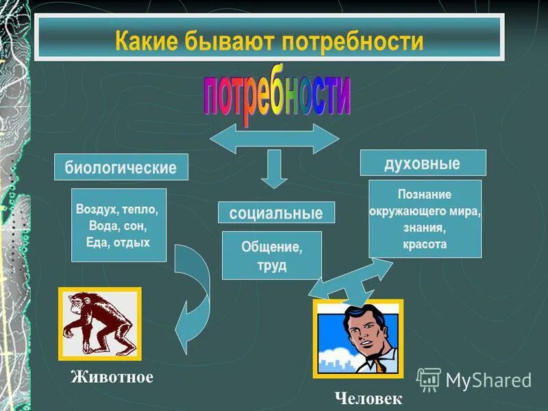 Какие потребности относятся к биологическим потребностям человека. Презентация на тему потребности человека. Какие бывают биологические потребности человека. Духовные потребности человека Обществознание.