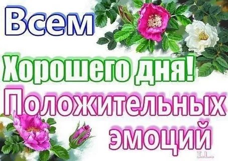 Приветствую уважаемая