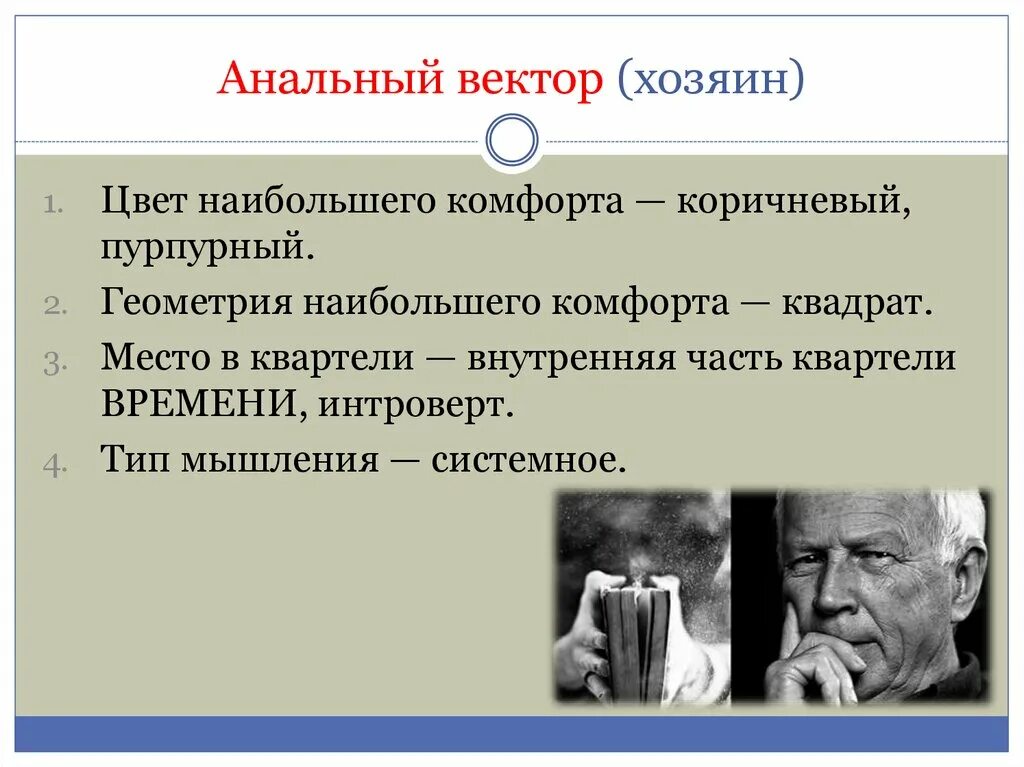 Векторная психология это. Системно Векторная психологияаналиный вектор. Векторная психология анальный вектор. Знаменитый анальный вектор. Анальный вектор по Фрейду.