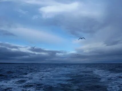 Гладь белого моря