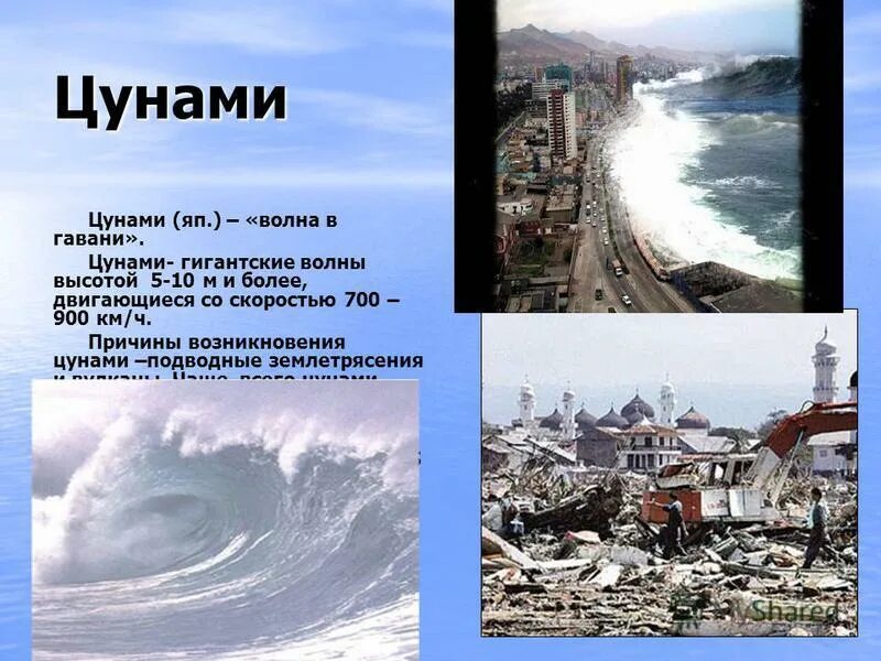 Цунами у побережья камчатки. Самое большое цунами в мире. Цунами в японии 2011 40 метров. Цунами на бали. Гонолулу цунами.