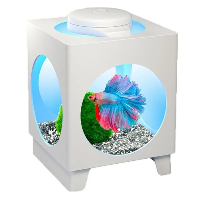 Купить рыбок тетра. Аквариум Tetra Betta. Аквариум Betta Projector. Tetra Betta Projector аквариум-проектор белый. Аквариум Tetra Betta Ring 1,8л.