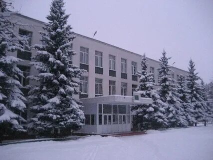 Зареченская школа