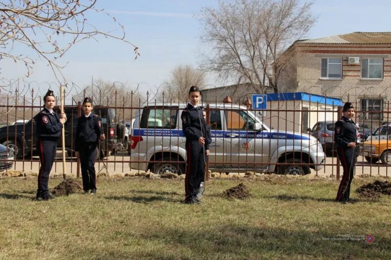 Новости г дубовка. Дубовка свободный. Город дубовка. Горноводяновская сош. Криминальные новости дубовка.