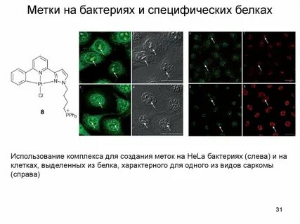 Метод радиоактивной клетки
