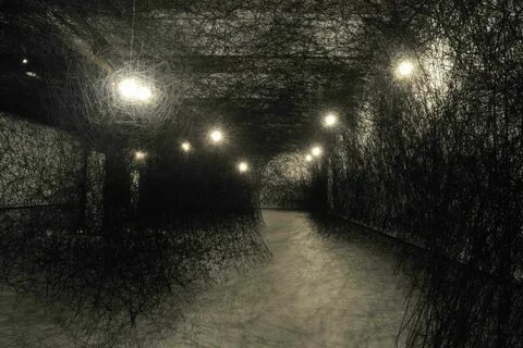 Poetry environment