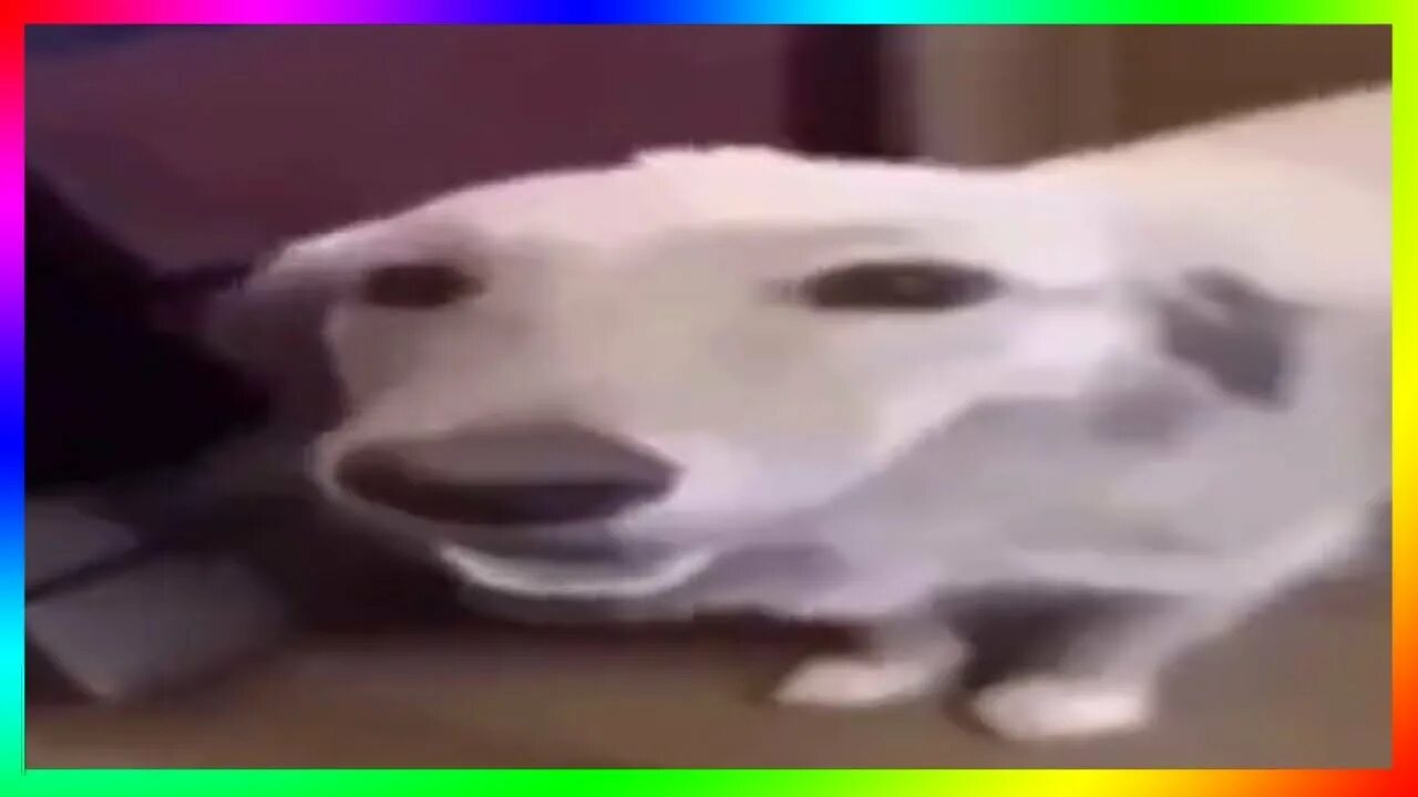 ТИК ТОК ЛУЧШЕЕ МЕМЫ ПОПРОБУЙ НЕ ЗАСМЕЯТЬСЯ 