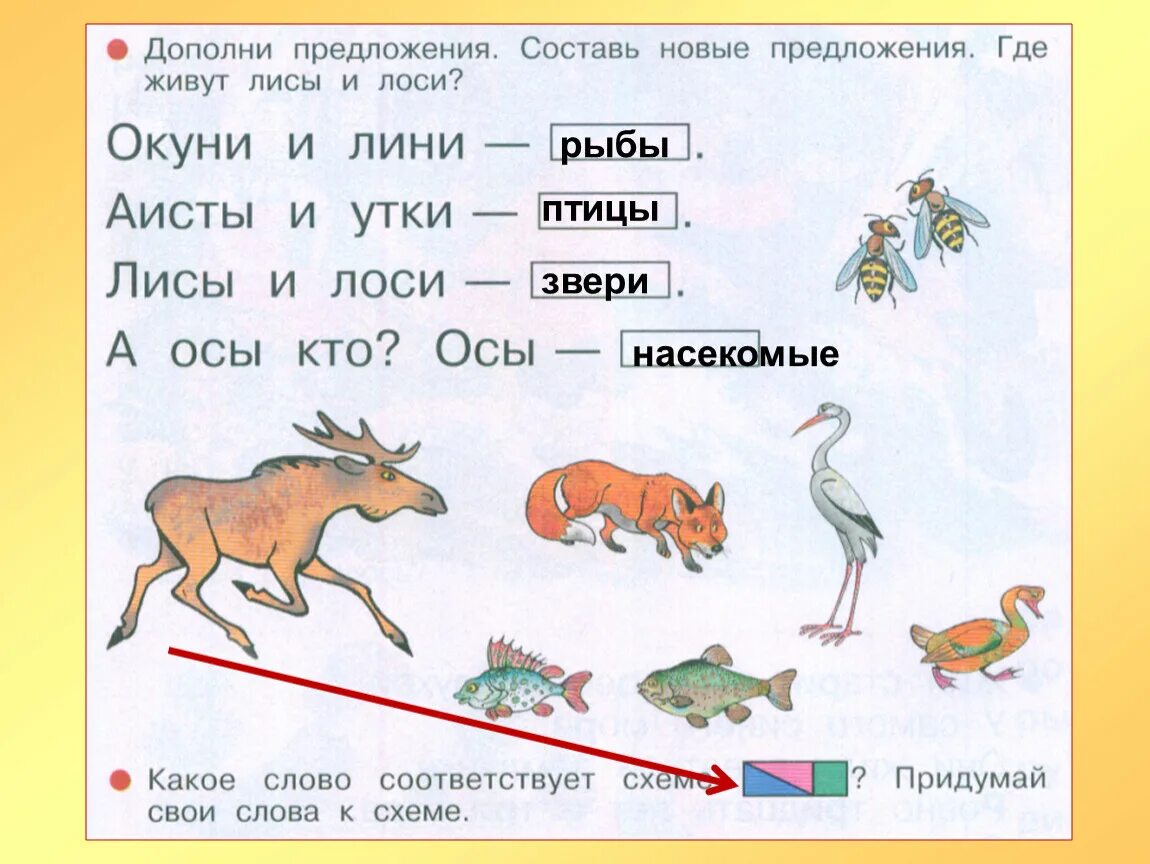 Дополни предложение. Окуни и лини где живут. Где живут лисы и лоси. Окуни и лини где живут 1 класс.