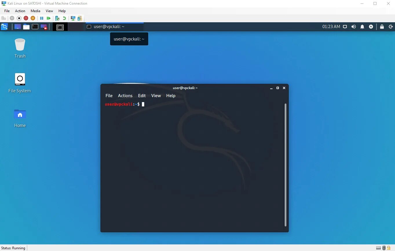 Kali linux интерфейс. Терминал kali linux 2025. linux интерфейс 2025. кали линукс 2025. kali linux 2025.2.