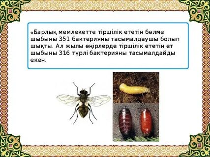 Әйелімнің сексуалды әпкесі кино секс