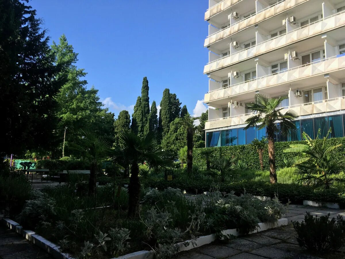 Ялта гостиница севастополь. Ялта кирова. Парк санатория родина гаспра. Вакансии в санаториях ялты. Вакансии в санаториях ялты.