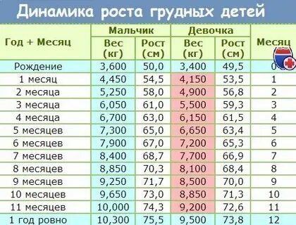 На сколько см вырастает человек за год