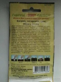 Посадка хрена семенами