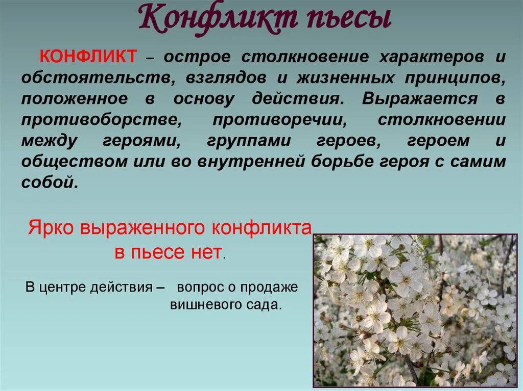 В чем заключается жанровое своеобразие вишневого сада. Конфликт вишневый сад. Конфликт в пьесе а.п. Чехова «вишневый сад». Конфликт пьесы вишневый сад. Основные конфликты вишневого сада.