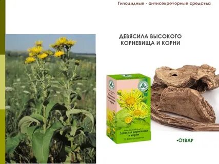Растительное лекарственное сырье является
