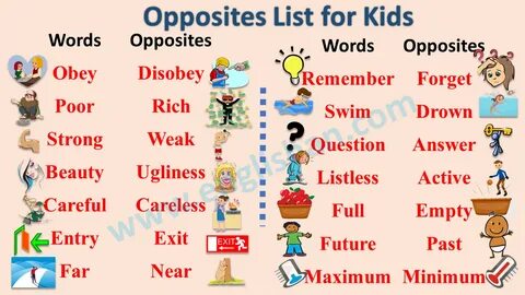 Opposite words