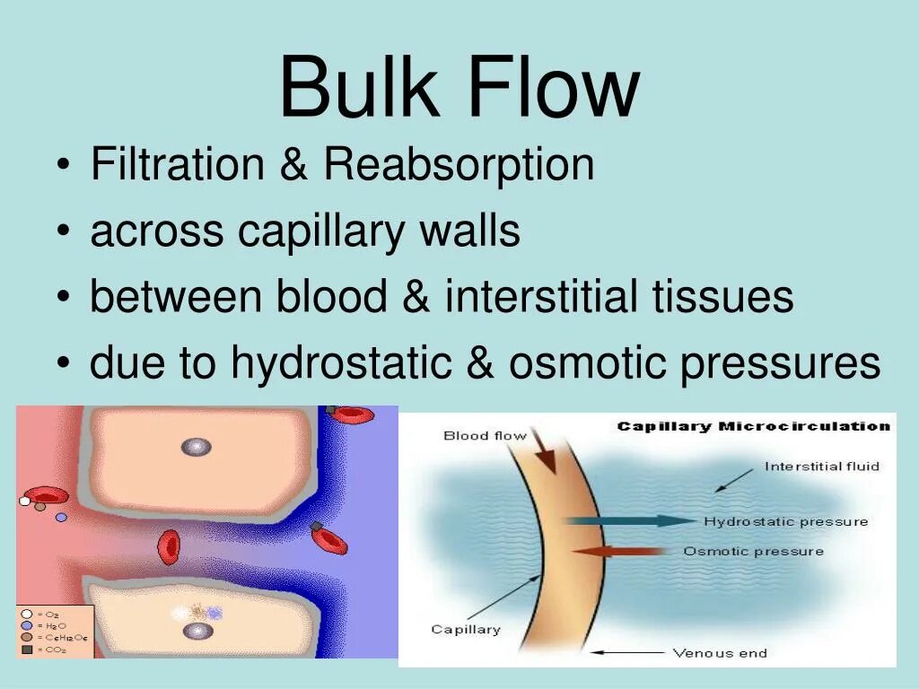 ,. Flow Flow Flow перевод. I-Flow Bulk. Abg Flow capillary. Bulk перевод.