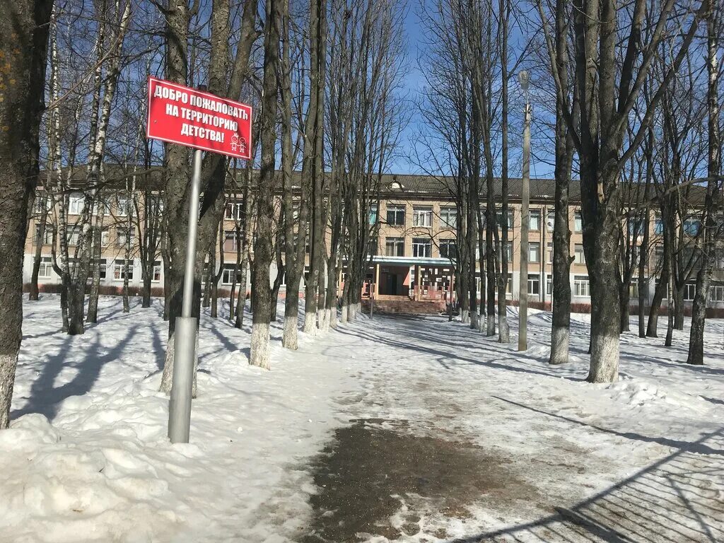 школа 17 смоленск. 17 средняя школа смоленска. школа 17 смоленск. лицей академика петрова. ул академика петрова 17 школа.