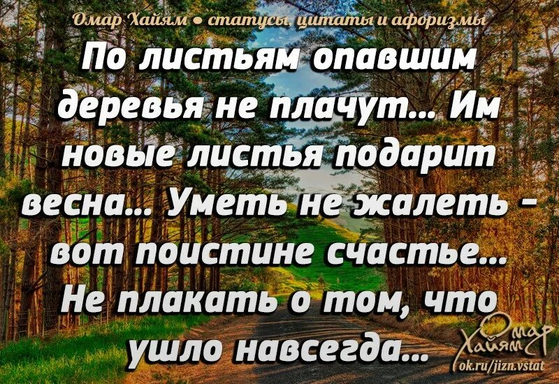 Осенние листья клена. Стихи про осенние листья. Высказывания в осенних листьях. Лист цитаты. Цитаты на листке.