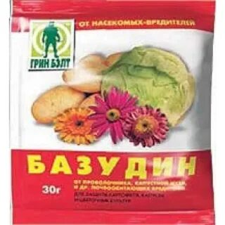 Базудин