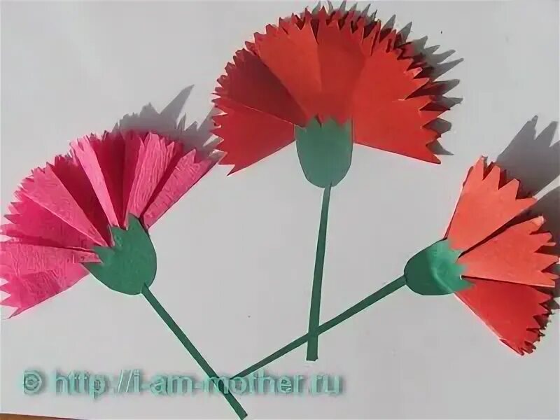 Как сделать гвоздики из бумаги своими. Гвоздика из цветной бумаги. цветы гвоздики из цветной бумаги.