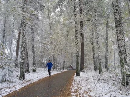 Погода академгородок