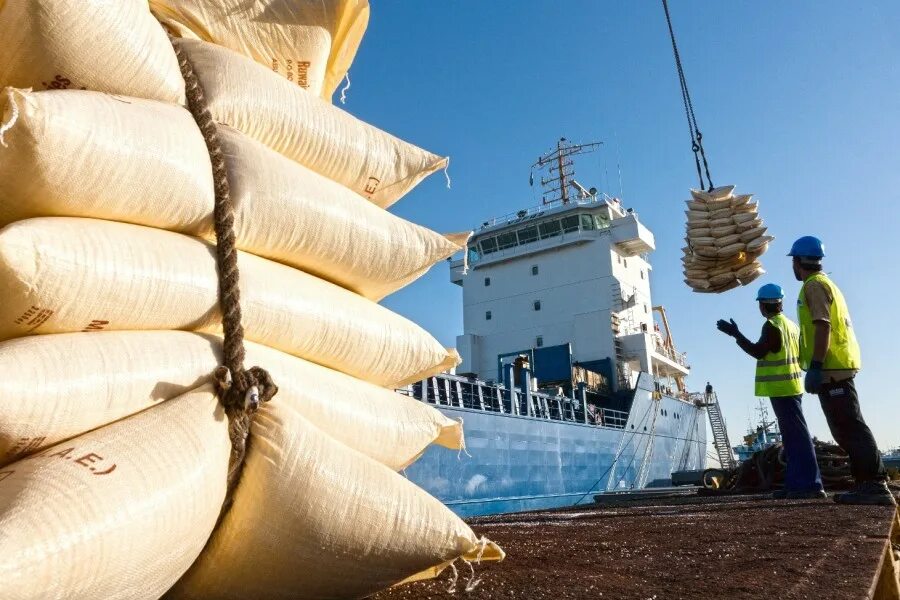 Погрузка грузов на судно. Порт Абу Даби. Погрузка груза. Морской транспорт. Погрузка груза в порту.