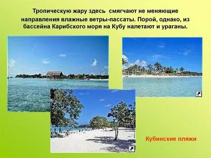 Тропическая жаркая и влажная